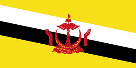 Brunei Bayrağı (70x105)