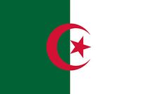 Cezayir Bayrağı (20x30)