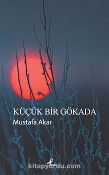 Küçük Bir Gökada - Mustafa Akar