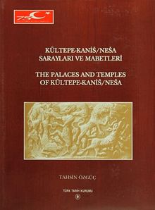 Kültepe-Kanis / Nesa Sarayları ve Mabetleri