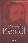 Namık Kemal / Edebiyatımızın Zirvesindekiler
