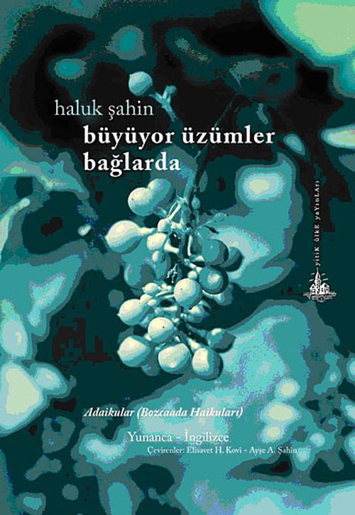 Büyüyor Üzümler Bağlarda & Adaikular (Bozcaada Haikuları)