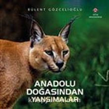Anadolu Doğasından Yansımalar (Ciltli) - Bülent Gözcelioğlu