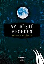 Ay Düştü Geceden