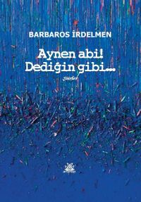 Aynen Abi! Dediğin Gibi...