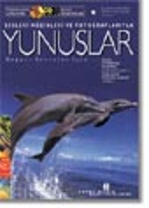Yunus Neşesi - CD Kitap