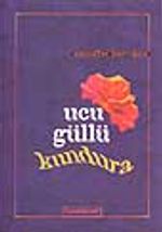 Ucu Güllü Kundura