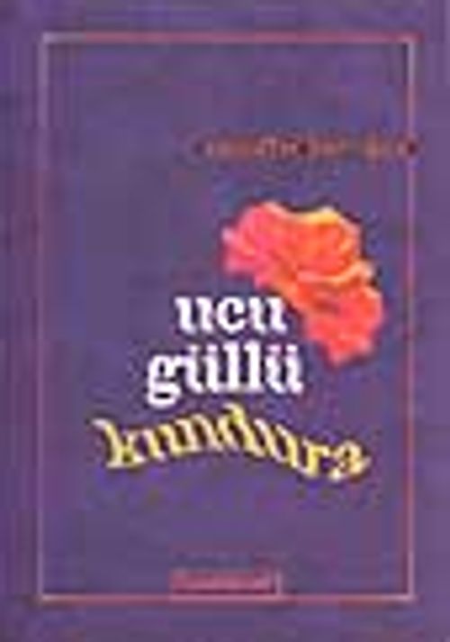 Ucu Güllü Kundura