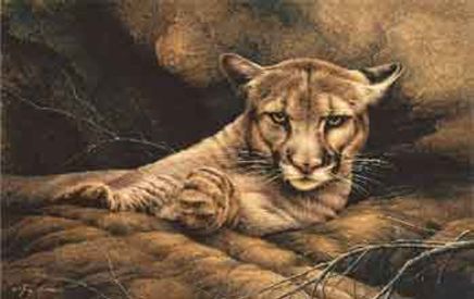 Lioness Resting 1000 Parça Puzzle (Kod: 40937)