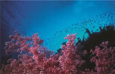 Derin 1000 Parça Puzzle (Kod: 40922)