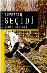 POZİTİF YAYINCILIK