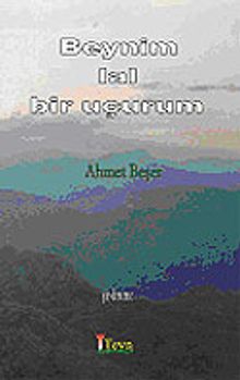 Beynim Lal Bir Uçurum