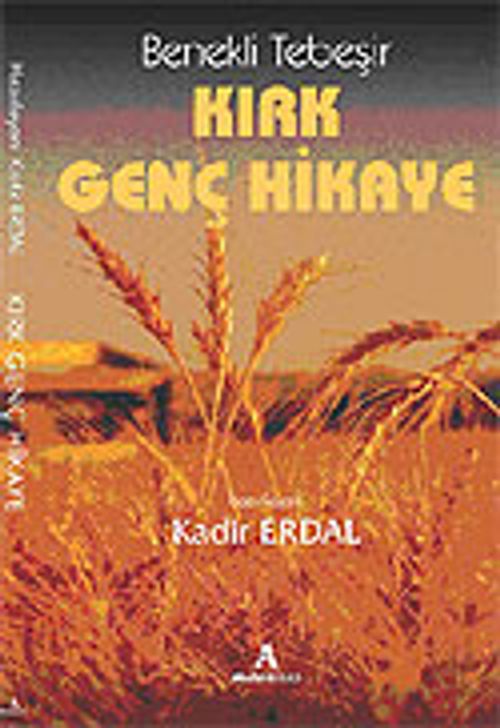 Kırk Genç Hikaye