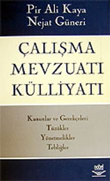 Çalışma Mevzuatı Külliyatı