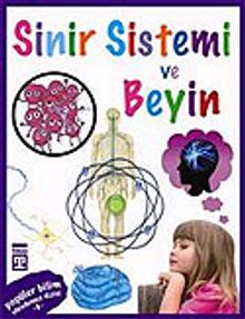 Sinir Sistemi ve Beyin / Vücudumuz Dizisi