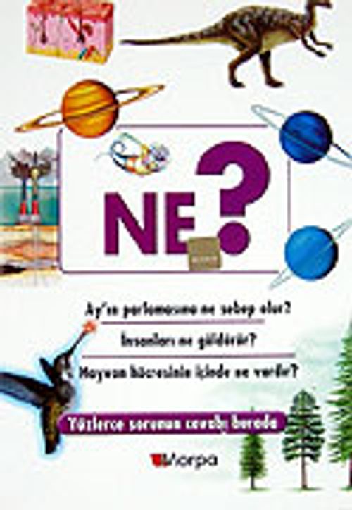 Ne?