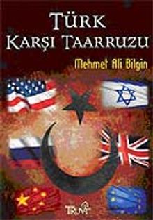Türk Karşı Taarruzu