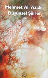 Düşünsel Şiirler