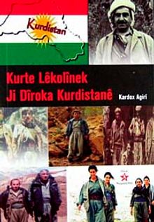 Kurte Lekolinek Ji Diroka Kurdistane
