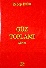Güz Toplamı Şiirler