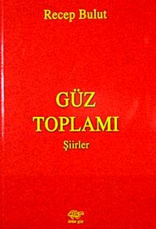 Güz Toplamı Şiirler