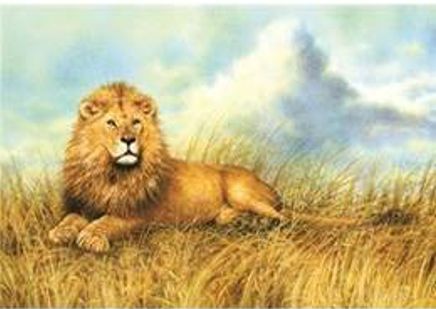 The King 1000 Parça Puzzle (40938)
