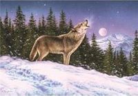 A Wolf´S Song To The Moon 1000 Parça Puzzle (Kod:40939)