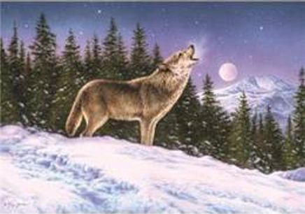 A Wolf´S Song To The Moon 1000 Parça Puzzle (Kod:40939)