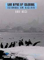 İstanbul'un Kuşları
