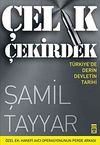 &Ccedil;elik &Ccedil;ekirdek & T&uuml;rkiye'de Derin Devletin Tarihi