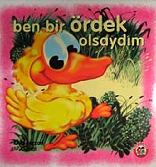 Ben Bir Ördek Olsaydım