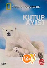 Kutup Ayısı (DVD)