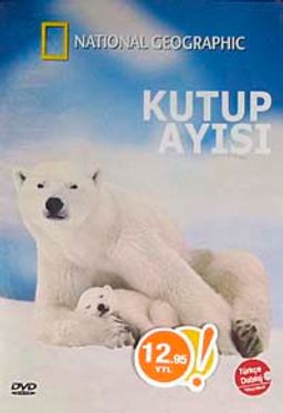 Kutup Ayısı (DVD)