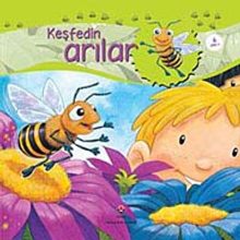 Keşfedin / Arılar