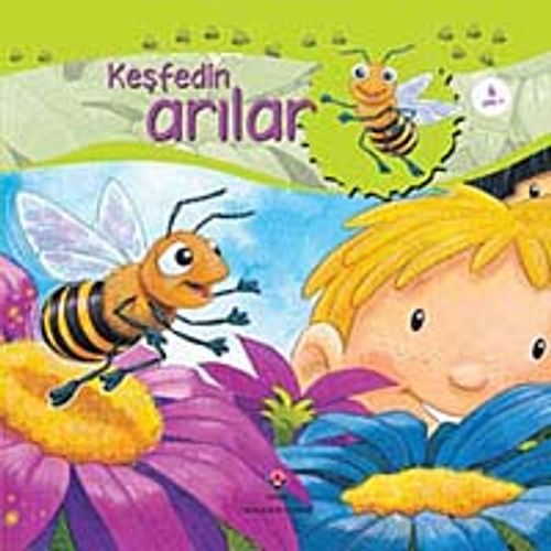 Keşfedin / Arılar