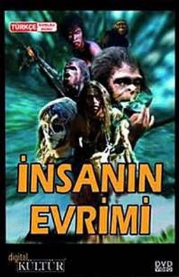 İnsanın Evrimi (Dvd)