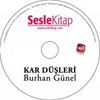 Kar D&uuml;şleri
