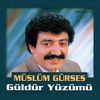 G&uuml;ld&uuml;r Y&uuml;z&uuml;m&uuml; / M&uuml;sl&uuml;m G&uuml;rses