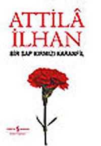 Bir Sap Kırmızı Karanfil