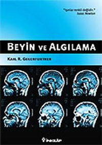 Beyin ve Algılama