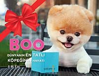 Boo & Dünyanın En Tatlı Köpeğinin Hayatı