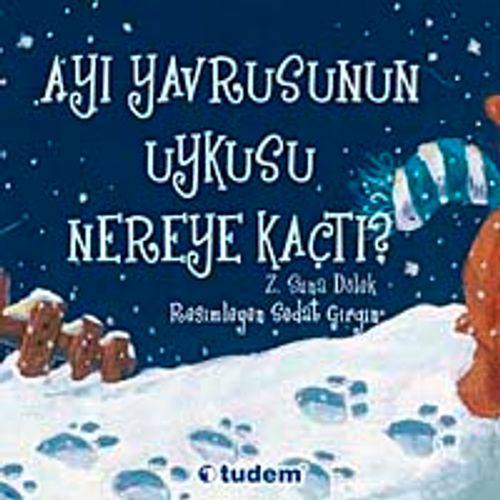 Ayı Yavrusunun Uykusu Nereye Kaçtı?