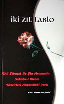 İki Zıt Tablo