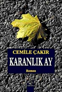 Karanlık Ay