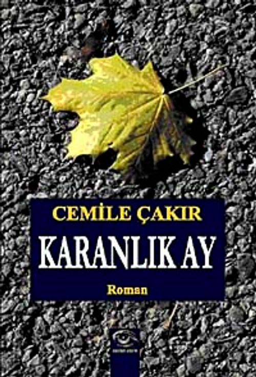 Karanlık Ay