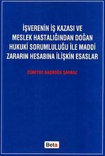 İşverenin İş Kazası ve Meslek Hastalığından Doğan Hukuki Sorumluluğu ile Maddi Zararın Hesabına İlişkin Esaslar