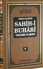 Sahih-i Buhari Tercüme ve Şerhi (Cilt 6)
