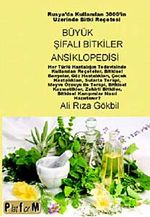 Büyük Şifalı Bitkiler Ansiklopedisi & Rusya'da Kullanılan 3000'in Üzerinde Bitki Reçetesi
