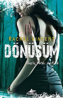 Dönüşüm / Dönüşüm Serisi -5