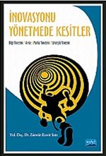 İnovasyonu Yönetmede Kesitler